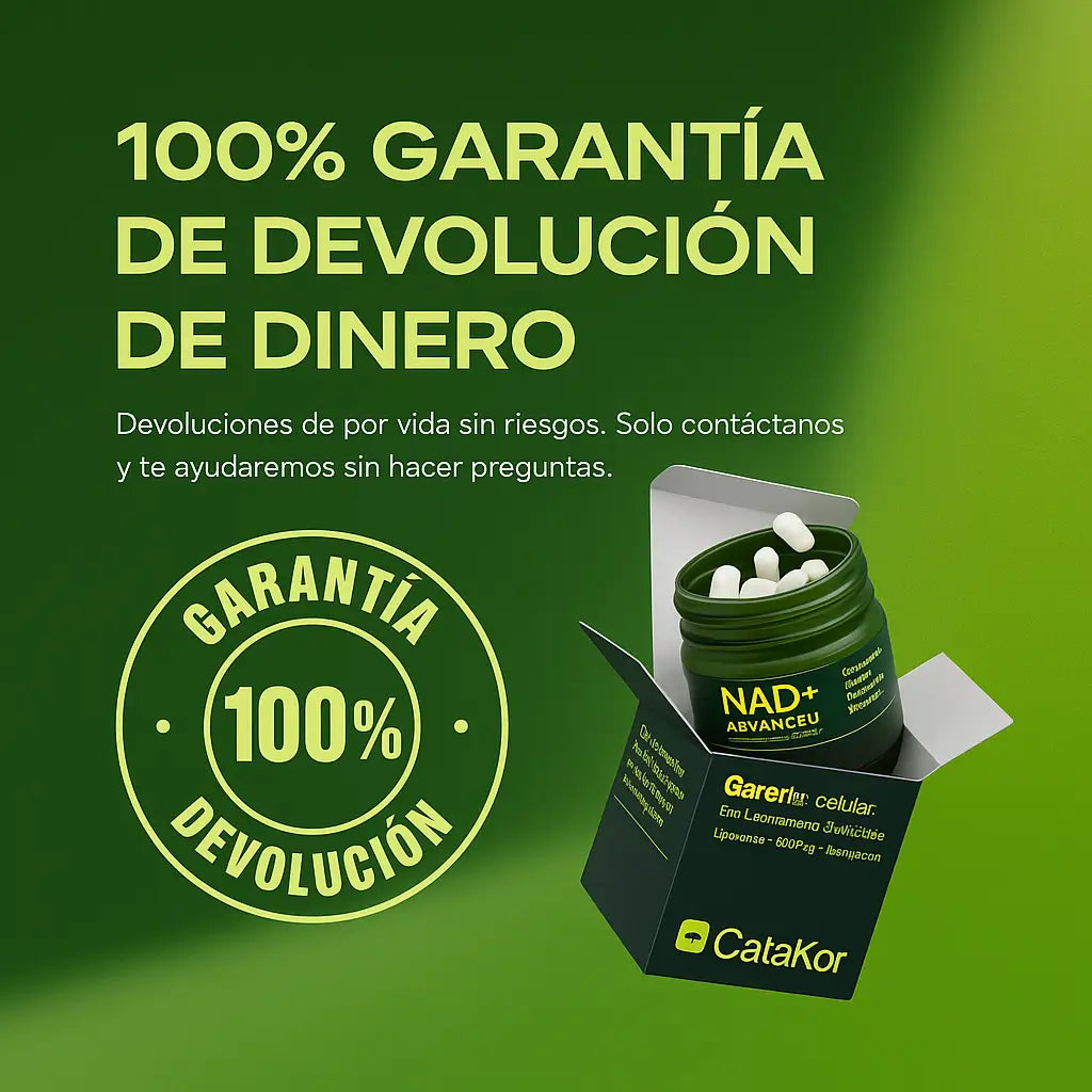 Encabezado