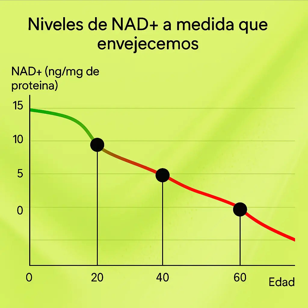 Cata-Kor NAD+ Advanced con Resveratrol