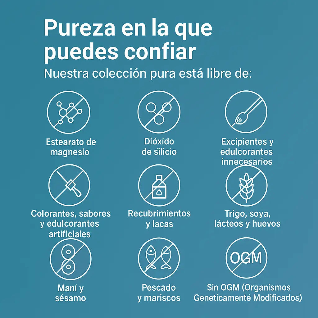 Encabezado