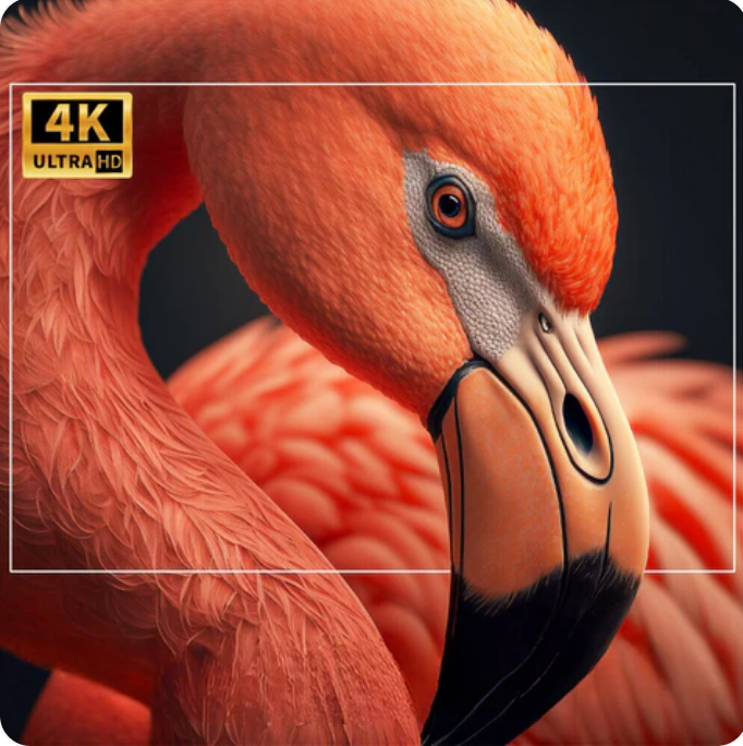 Proyecto 4K
