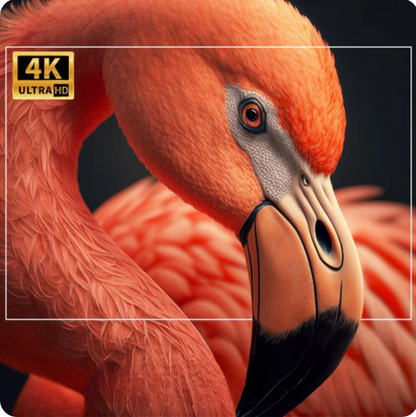 Proyecto 4K
